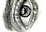realistic drawing for you